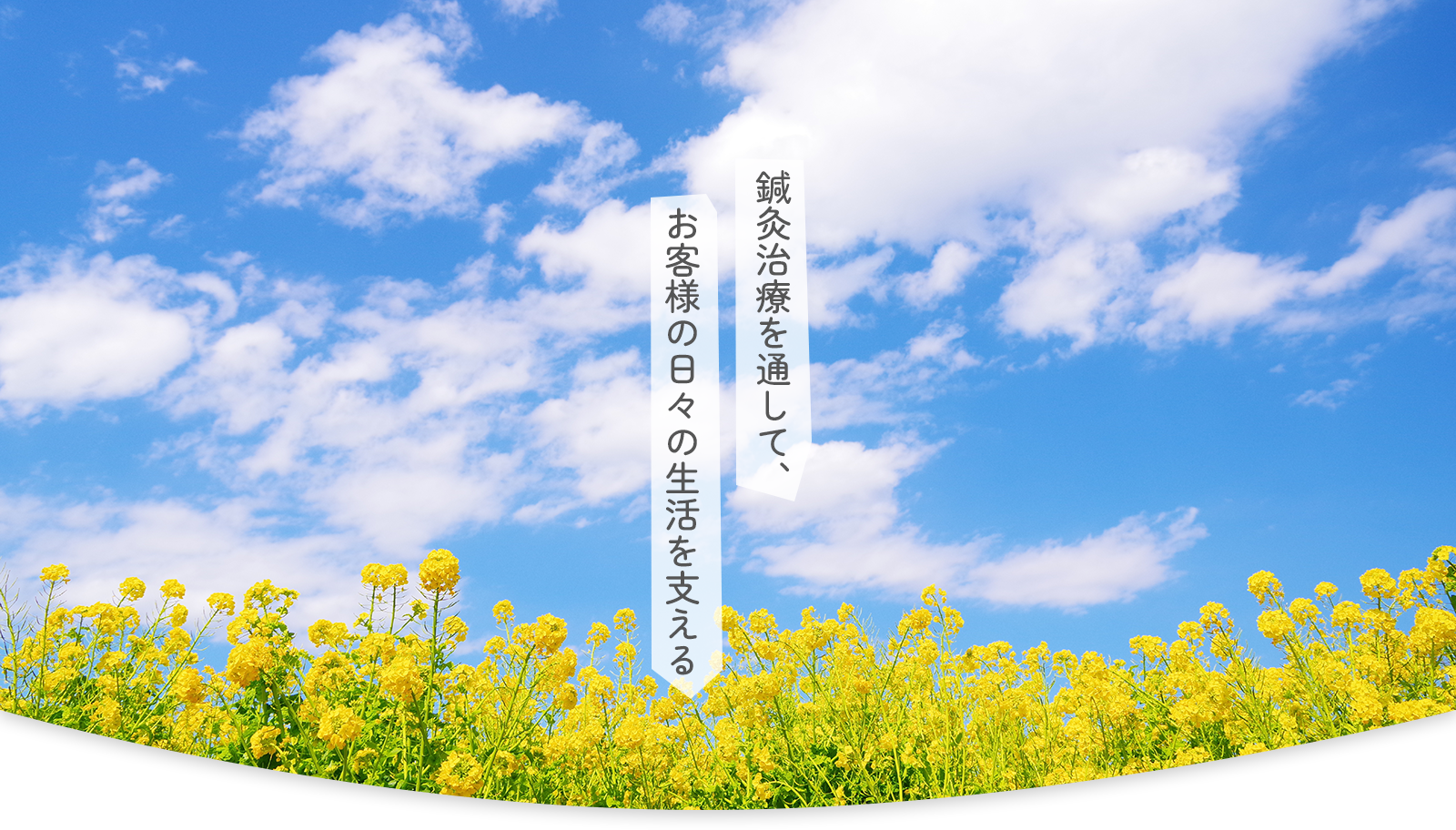 鍼灸治療を通して、お客様の日々の生活を支える